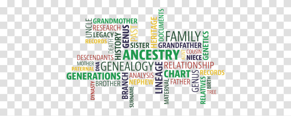 Free Genealogy & Family Tree Vectors Pixabay Family History Month, Text, Word, Alphabet, Flyer Transparent Png
