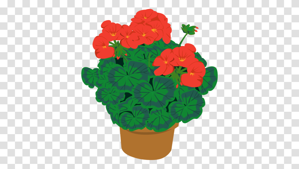 Free Geramium In A Pot Clipart And Vector Graphics, Geranium, Flower, Plant, Blossom Transparent Png