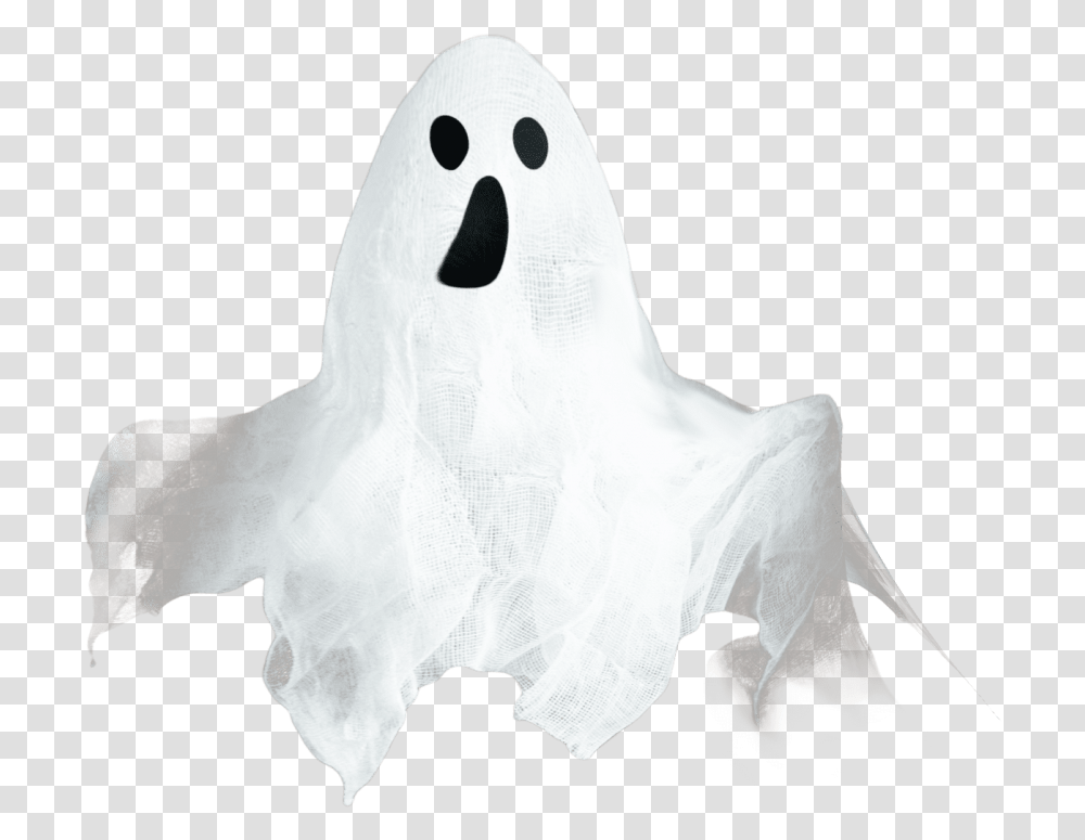 Free Ghost Images Privedenie, Bird, Animal, Apparel Transparent Png