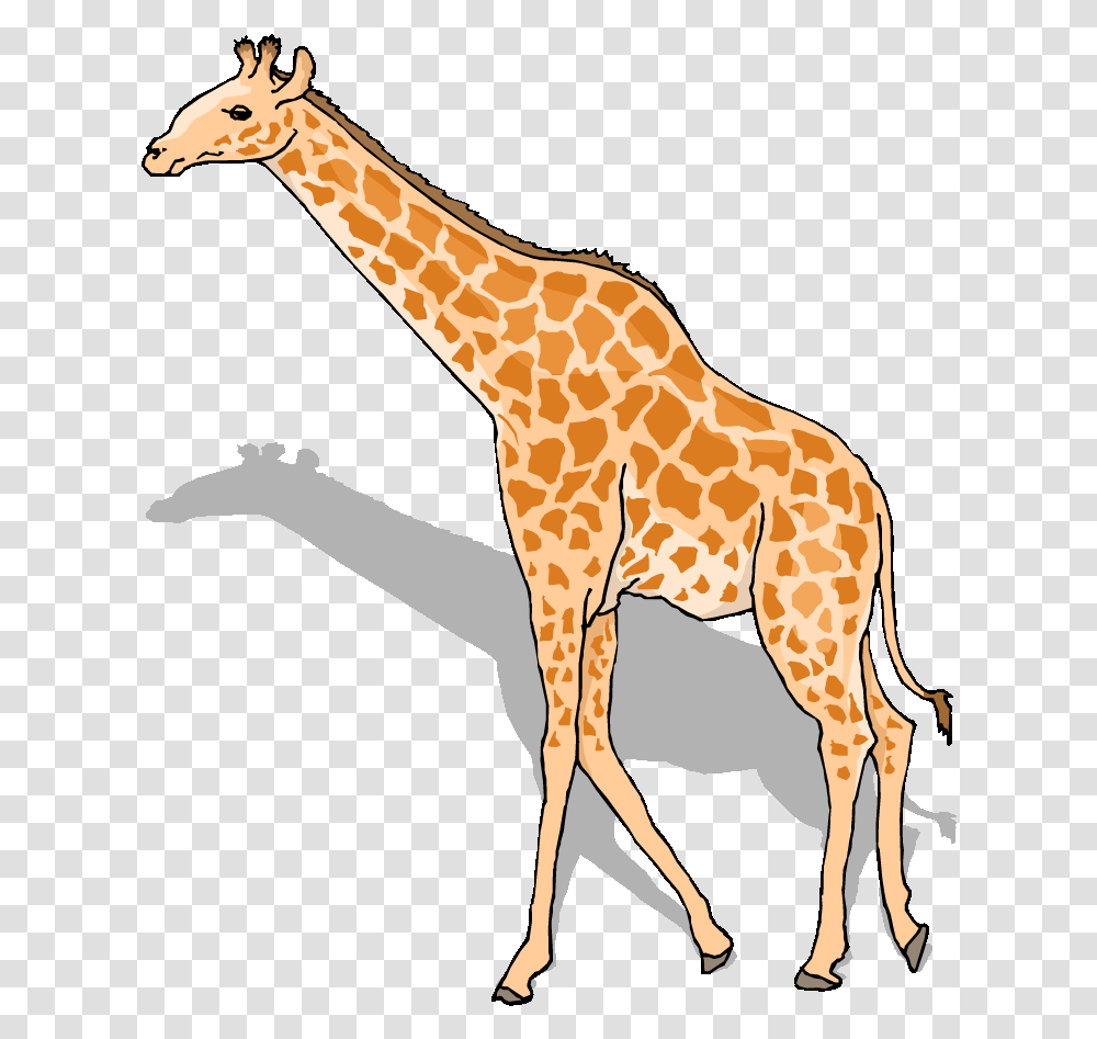 Free Giraffe Clipart Giraffe Gif Clipart, Wildlife, Mammal, Animal Transparent Png