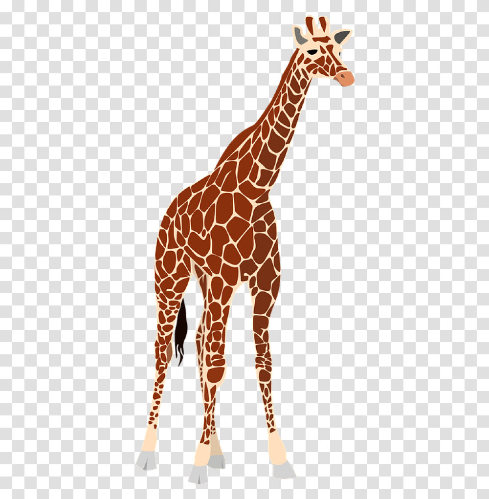 Free Giraffe Images Realistic Giraffe Clip Art, Wildlife, Mammal, Animal Transparent Png