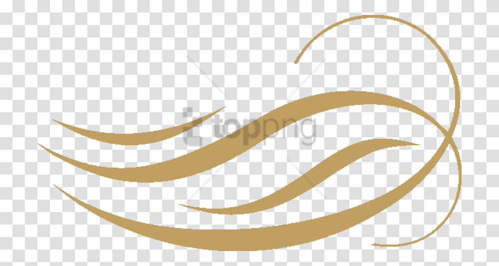 Free Golden Line Image With, Handwriting, Calligraphy, Invertebrate Transparent Png