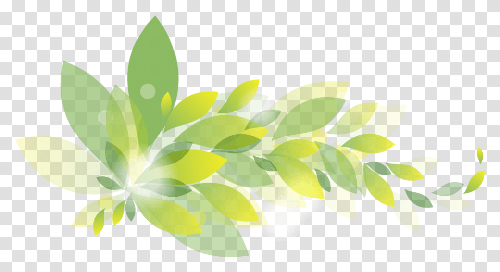 Free Graphic Design Templates Images Background Illustration, Leaf, Plant, Graphics, Art Transparent Png