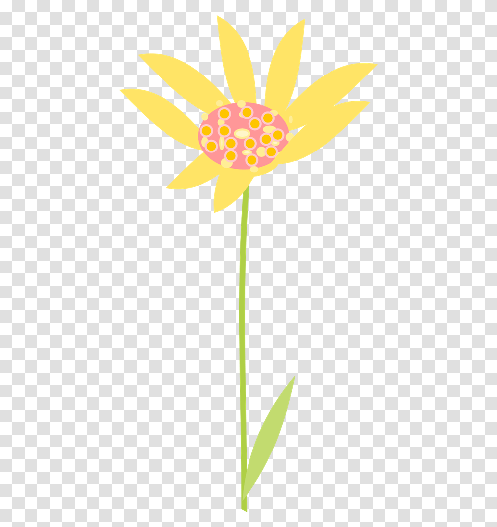 Free Graphics Of Flowers Download Clip Art African Daisy, Symbol, Star Symbol, Gold, Plant Transparent Png