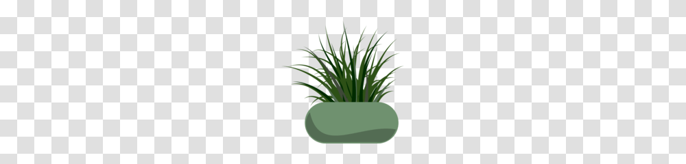 Free Grass Skirt Clipart And Vector Graphics, Plant, Produce, Food, Vegetation Transparent Png