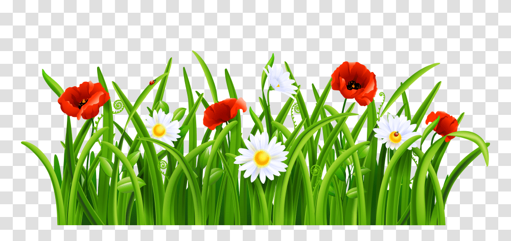 Free Grass Transparent Png