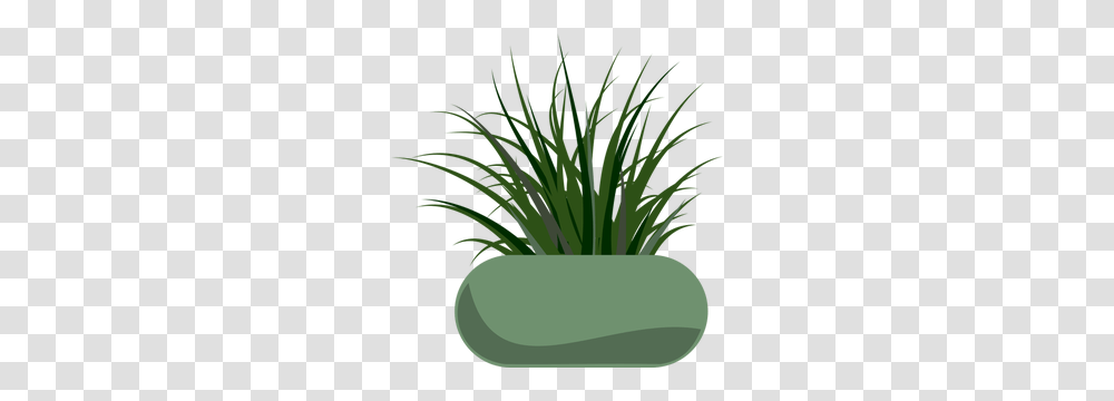 Free Grass Vector Art, Plant, Produce, Food, Vegetation Transparent Png