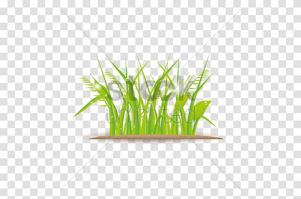 Free Grass Vector Image, Tabletop, Furniture, Plant, Cutlery Transparent Png