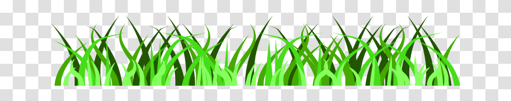 Free Grass Vector, Plant, Vegetable, Food, Produce Transparent Png