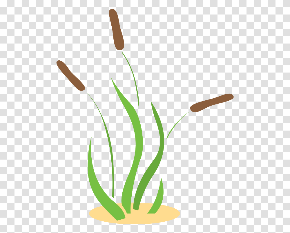 Free Grass With Background Vertical, Plant, Flower, Blossom, Amaryllidaceae Transparent Png