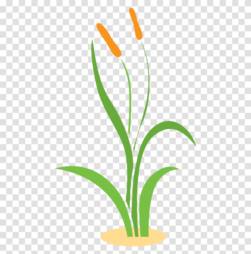 Free Grass With Background Vertical, Plant, Flower, Blossom, Petal Transparent Png