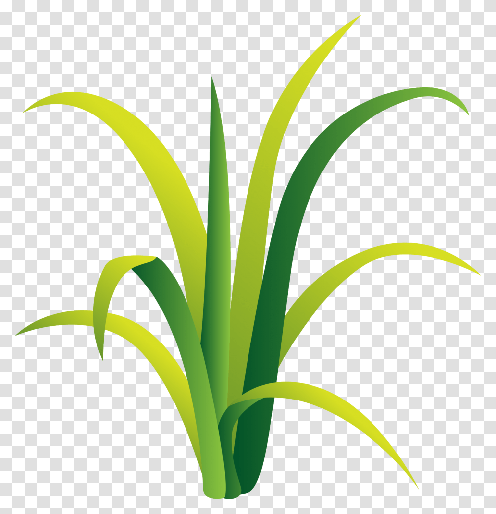 Free Grass With Background Vertical, Plant, Iris, Flower, Blossom Transparent Png