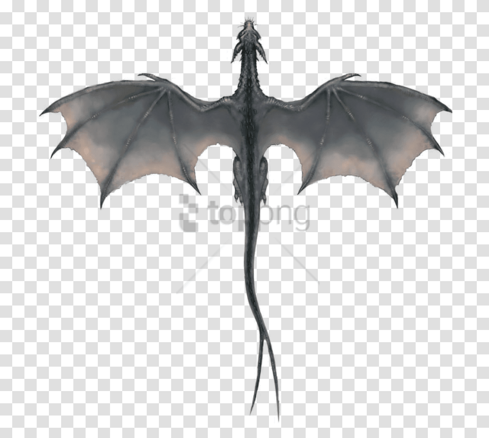 Free Gray Dragon Image With Background Game Of Thrones Dragon Wings, Cross Transparent Png