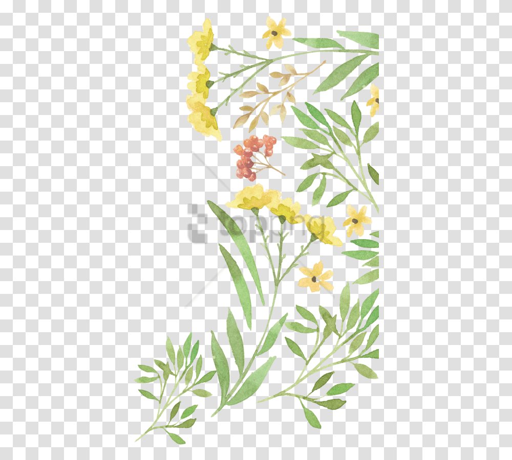 Free Green Watercolour Flower Image With No Background Watercolor Green Flowers, Floral Design, Pattern Transparent Png