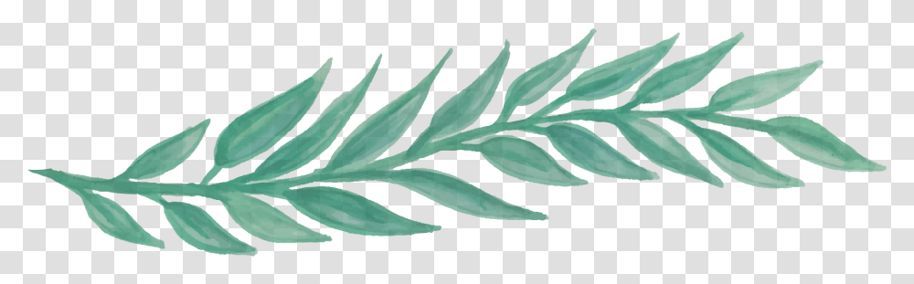 Free Greenery Watercolor Download Leaf Watercolor, Plant, Annonaceae, Tree, Flower Transparent Png