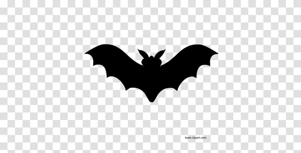 Free Halloween Clip Art, Animal, Wildlife, Mammal, Bat Transparent Png