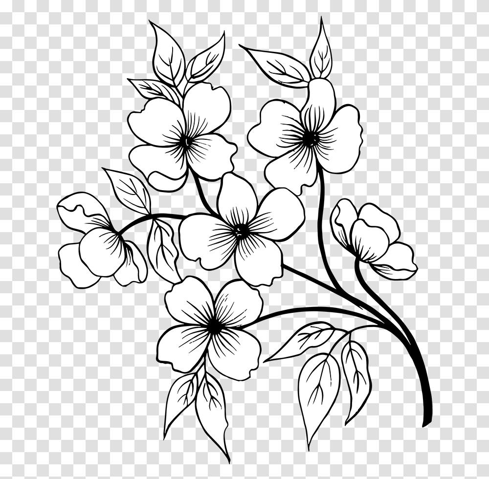 Free Hand Drawn Floral Bouquets Black And White Flower, Plant, Blossom, Petal, Painting Transparent Png