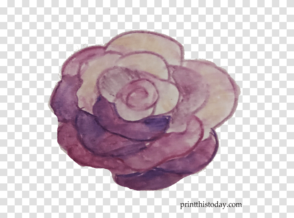 Free Handmade Watercolor Wreath And Flowers For Blogs Garden Roses, Plant, Blossom, Accessories, Accessory Transparent Png