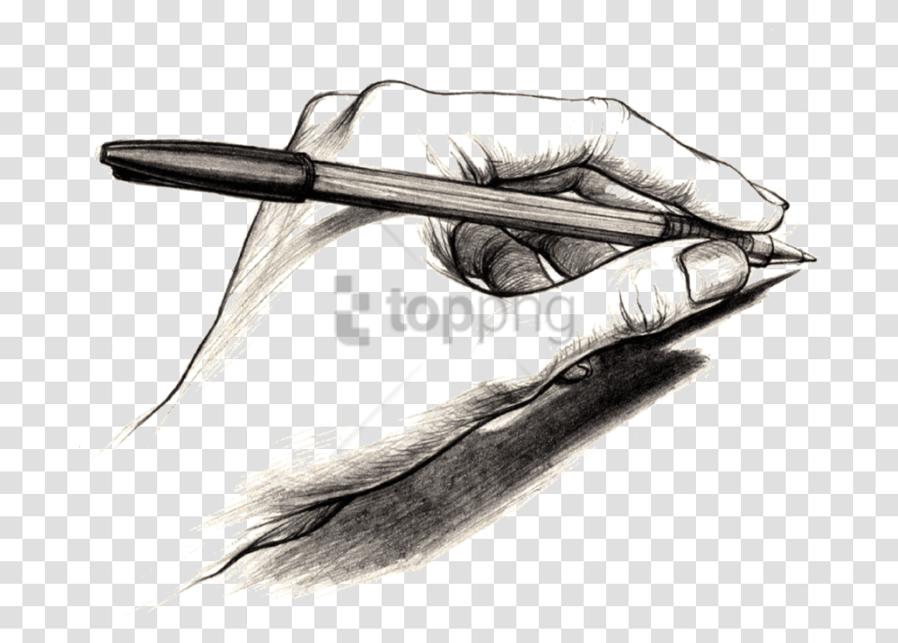 Free Handwriting Image With Writing Hand Clipart, Bird, Animal, Drawing, Weapon Transparent Png
