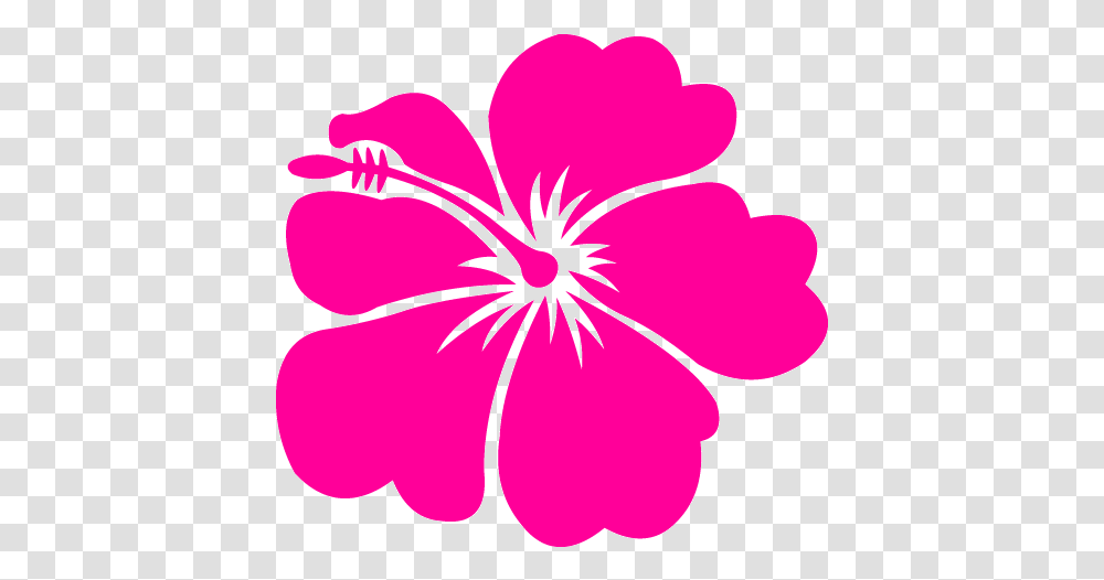 Free Hawaiian Flower Download Clip Art Hawaiian Flowers Clip Art, Plant, Blossom, Hibiscus, Geranium Transparent Png