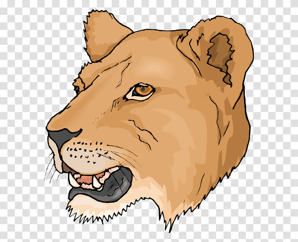 Free Head Lioness Clipart Lioness Clipart, Mammal, Animal, Bird, Wildlife Transparent Png