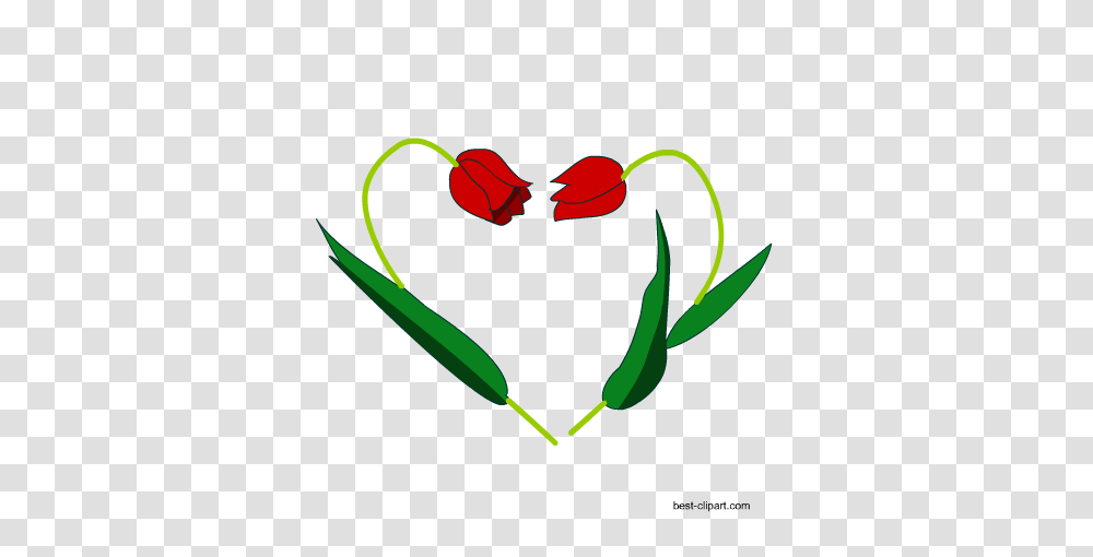Free Heart Clip Art Images And Graphics, Plant, Dynamite, Green, Food Transparent Png