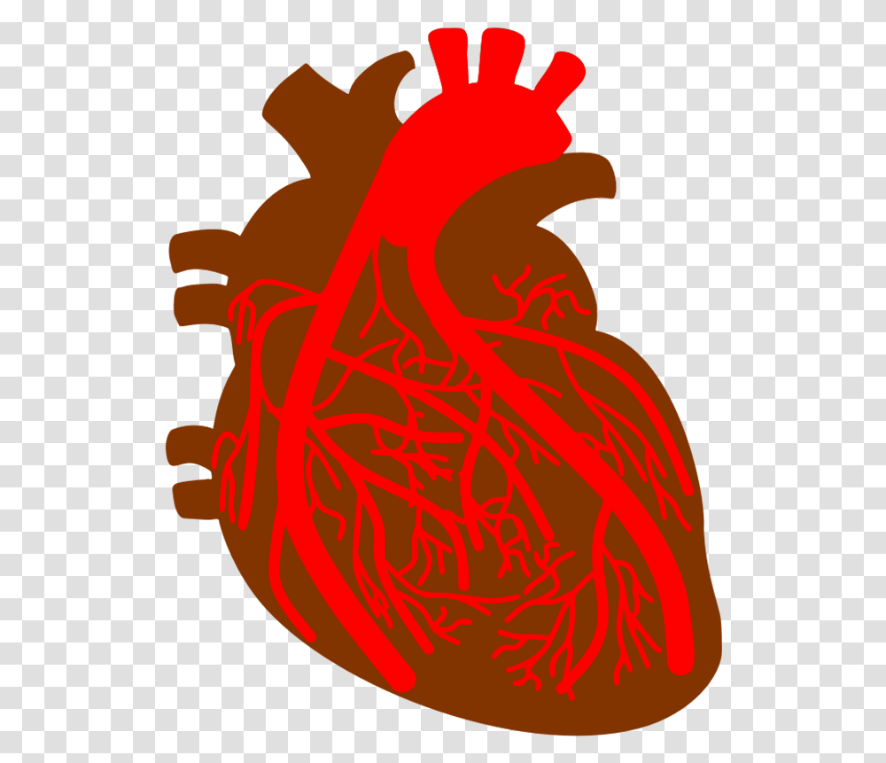Free Heart Clipart Background Images Files Heart And Blood Vessel Clipart, Performer, Dance Pose, Leisure Activities, Flamenco Transparent Png
