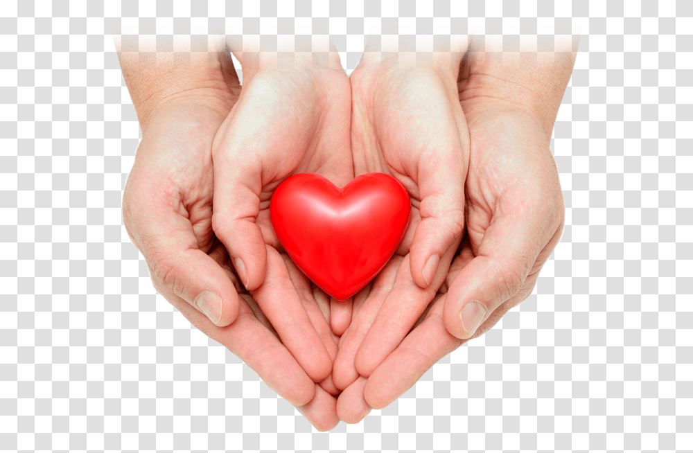 Free Heart In Hand, Person, Human, Finger, Nail Transparent Png