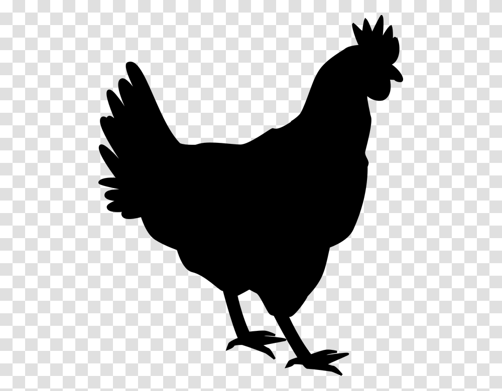 Free Hen Hen Images, Gray, World Of Warcraft Transparent Png