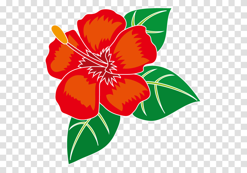 Free Hibiscus Flower Clipart, Plant, Blossom, Floral Design Transparent Png