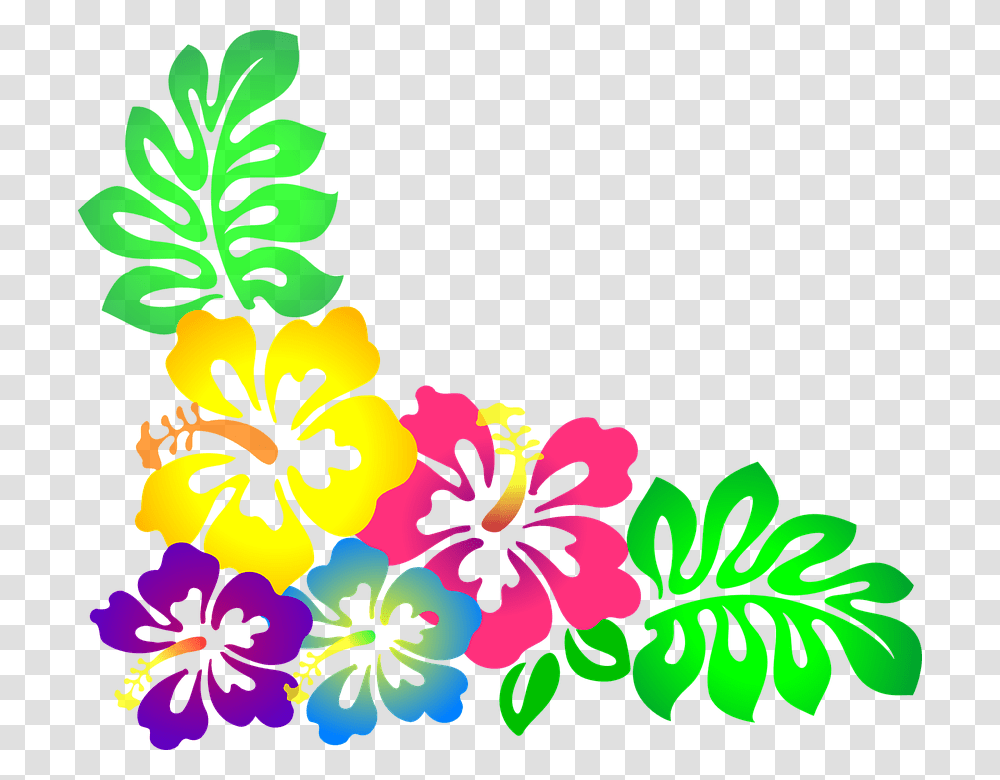 Free Hibiscus Flower Clipart, Plant, Floral Design, Pattern Transparent Png