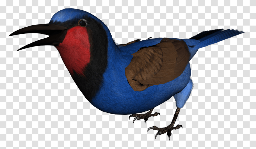 Free High Resolution Graphics And Clip Art, Bird, Animal, Beak Transparent Png
