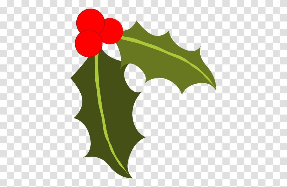 Free Holly Clipart, Leaf, Plant, Flower, Blossom Transparent Png
