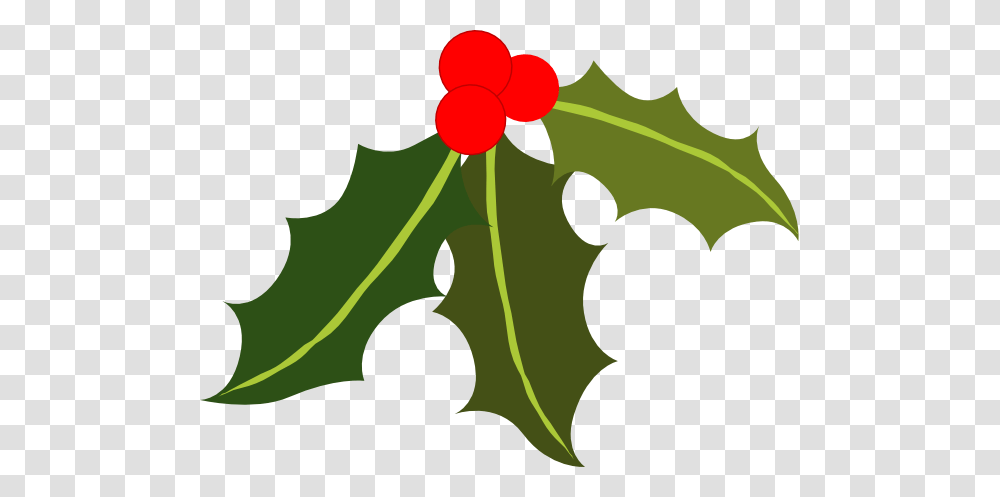 Free Holly Clipart, Plant, Leaf, Produce, Food Transparent Png