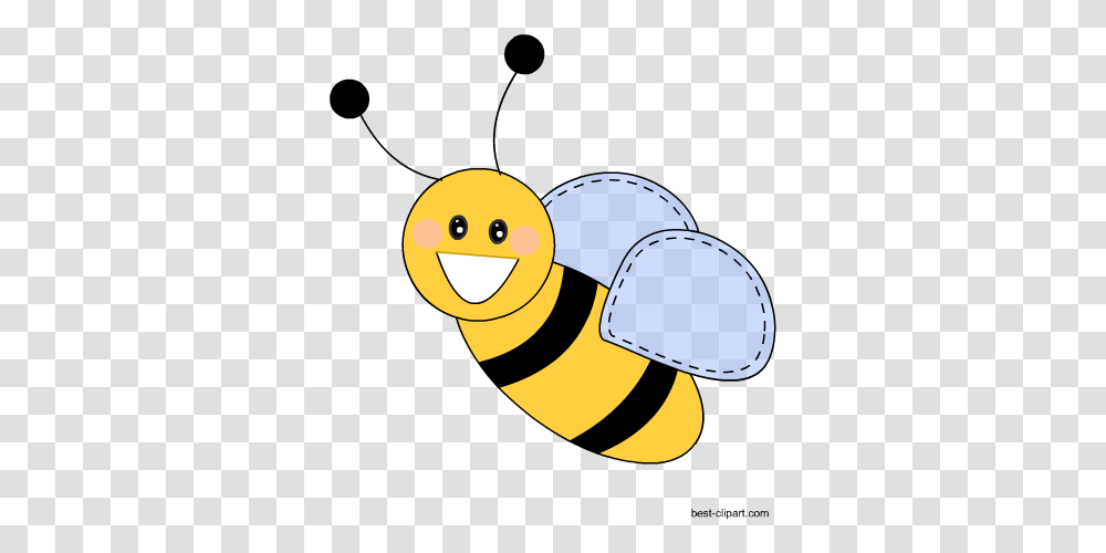 Free Honey Bee And Beehive Clip Ar Clip Art, Insect, Invertebrate, Animal, Wasp Transparent Png
