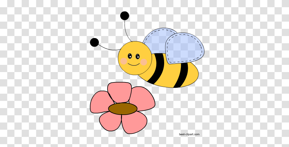 Free Honey Bee And Beehive Clip Ar, Insect, Invertebrate, Animal Transparent Png