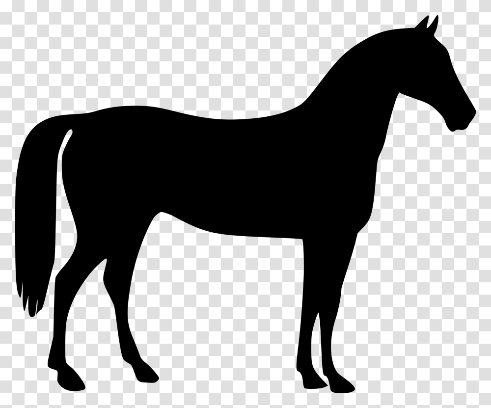 Free Horse Clip Art Clipartzo Animal Silhouettes Horse, Gray, World Of Warcraft Transparent Png