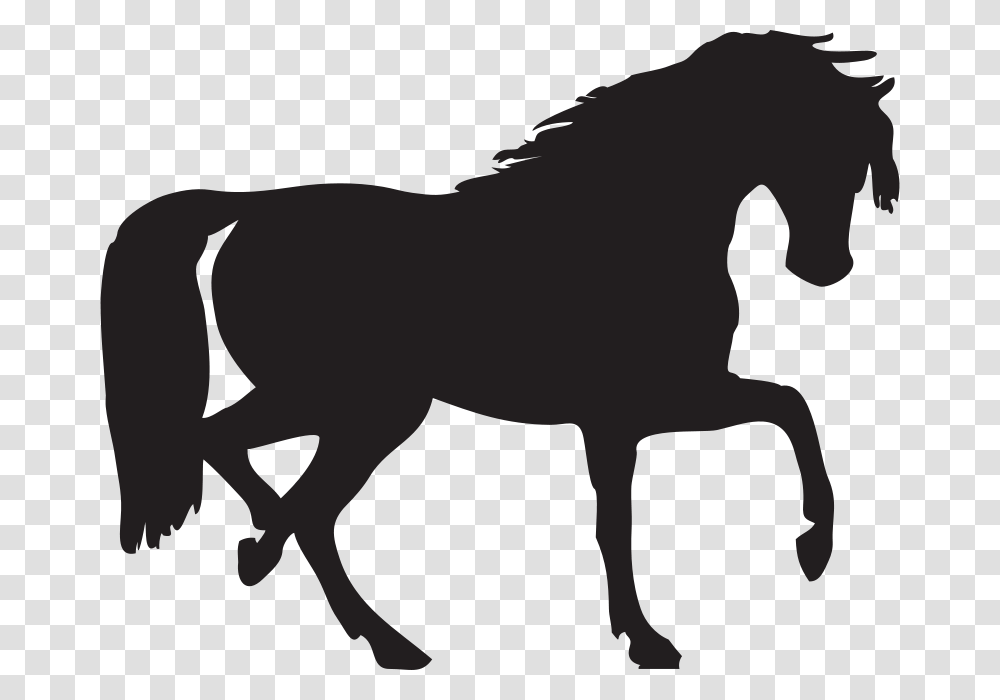 Free Horse Silhouette You Can Use To Make An Cricut, Animal, Mammal, Foal, Wolf Transparent Png