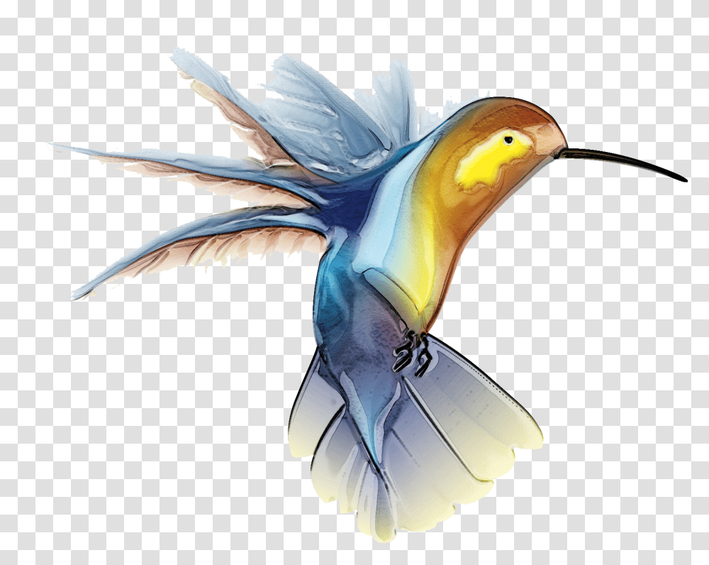 Free Hummingbird Clip Art, Animal, Flying, Aquatic Transparent Png
