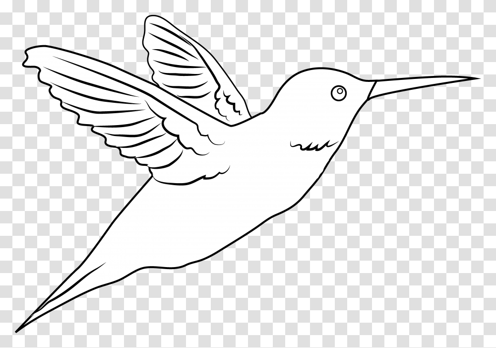 Free Hummingbird Clipart 2 Image Clipartix Hummingbird Clipart Black And White, Animal, Flying Transparent Png
