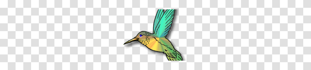 Free Hummingbird Clipart Hummingbird Clip Art Hummingbird Clip Art, Flying, Animal, Beak, Jay Transparent Png