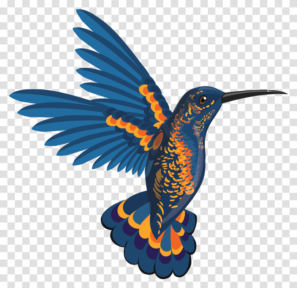 Free Hummingbird Konfest Birds Flying Beautiful, Animal, Jay, Beak, Blackbird Transparent Png