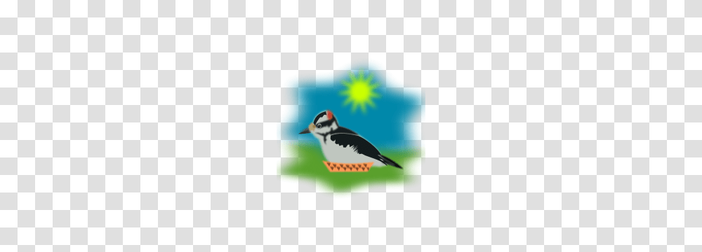 Free I Clipart, Bird, Animal, Jay, Blue Jay Transparent Png