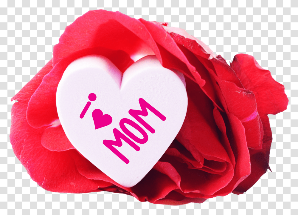 Free I Love Mom Heart And A Rose Image Happy Birthday My Mother Transparent Png