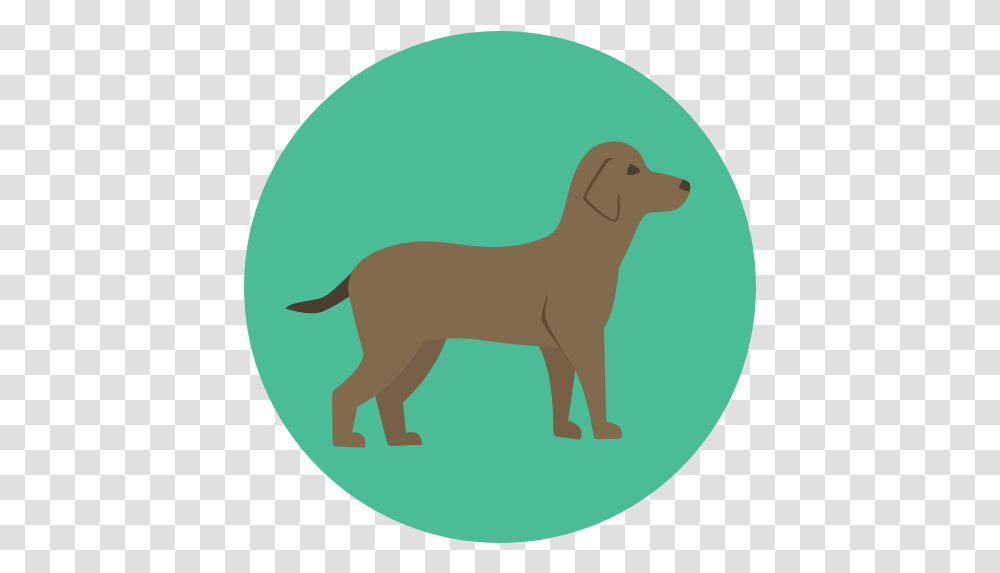 Free Icon Dog Flat Animal Icon, Mammal, Pet, Label, Cat Transparent Png