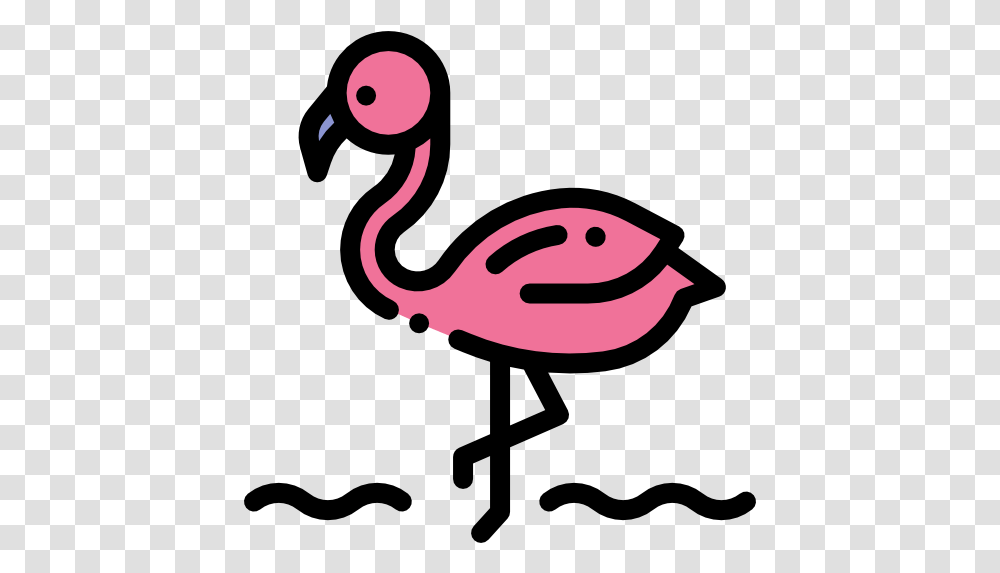 Free Icon Dot, Animal, Flamingo, Bird, Beak Transparent Png