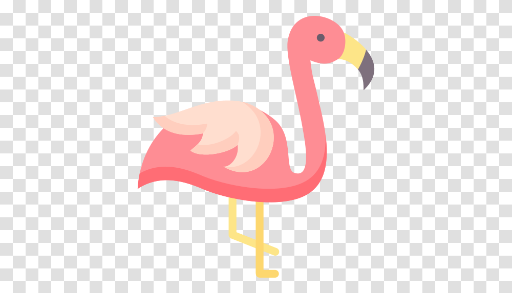 Free Icon Download Flamingo Soft, Bird, Animal, Beak Transparent Png