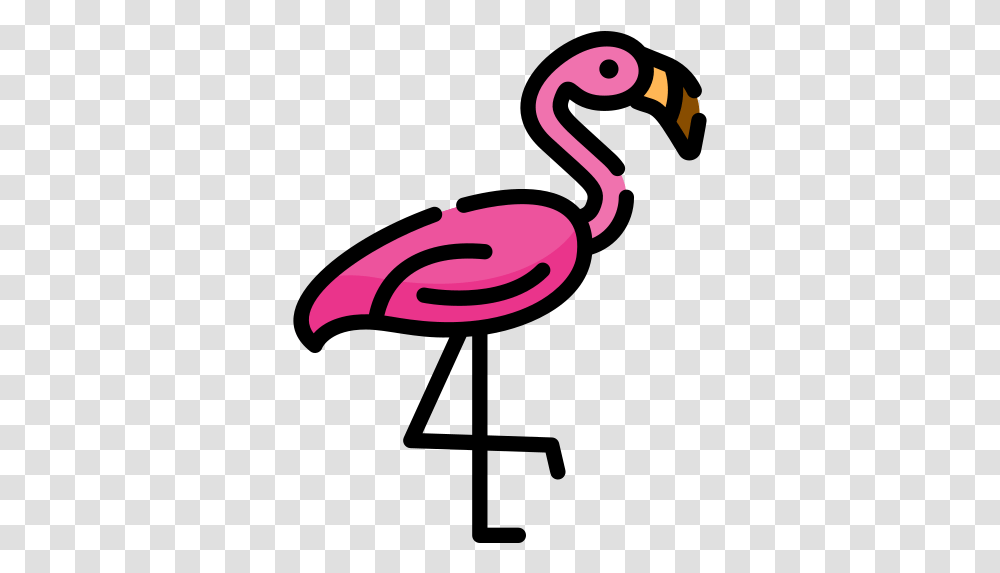 Free Icon Flamingo Girly, Bird, Animal, Swan Transparent Png