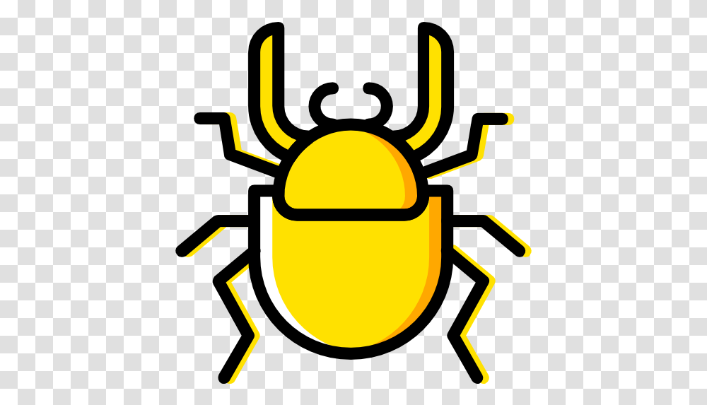 Free Icon Parasitism, Animal, Invertebrate, Insect, Dung Beetle Transparent Png