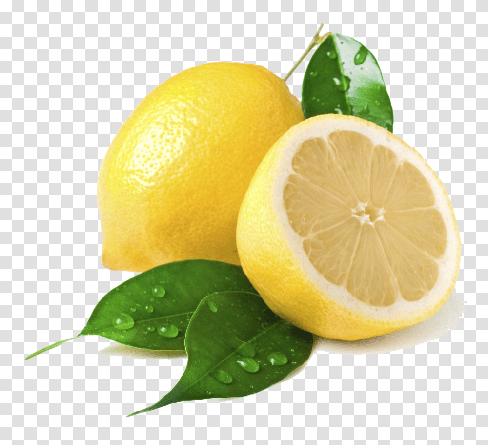 Free Icons Background Lemon, Citrus Fruit, Plant, Food, Orange Transparent Png
